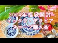 【限定コラボ】イッタラ×ミナペルホネン新作フォレストライフ開封！北欧食器で彩る上質な暮らし