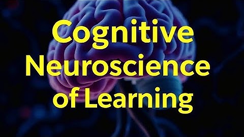 Cognitive Neuroscience of Learning | Psychology 