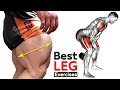 FULL Leg Workout | quadriceps - hamstring - thighs - glutes | Maniac Muscle