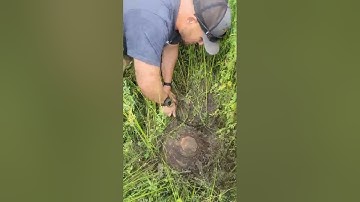 TM62 Anti Tank Mines in Kharkiv Region August 2022 #ukraine #ukrainewar #ukrainecrisis #ukrainian