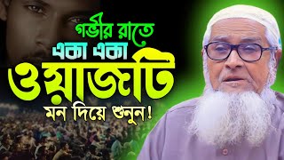 গভীর রাতে একা একা ওয়াজটি মন লাগিয়ে শুনুন লুৎফুর রহমান ওয়াজ ২০২৪ |  Lutfur Rahman Waz 2024