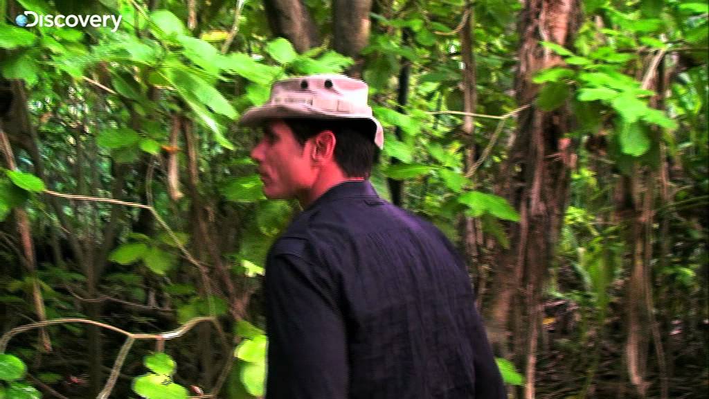 coconut crab cooking Man, Woman, Wild - EP 2 Sneak Peek