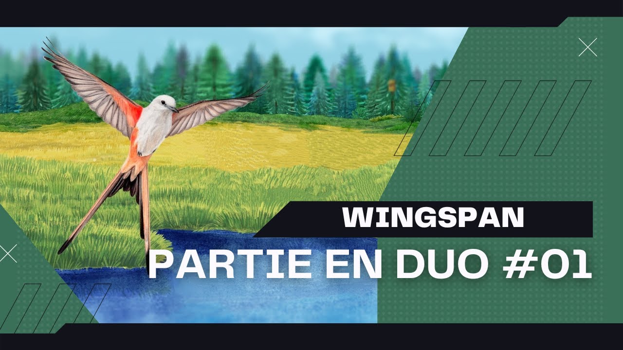 Wingspan - Une partie en duo - YouTube