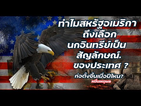 เล่า | ทำไมสหรัฐถึงเลือกนกอินทรีเป็นสัญลักษณ์ประเทศ | หมื่นเหตุผล | EP05