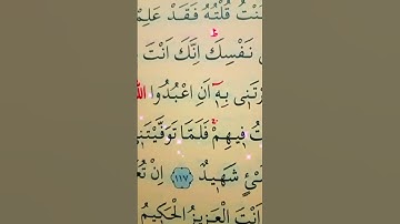 سورة المائدة الأية 117 إلى 118 القارئ سعد الغامدي