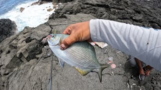 Pêche et grillades sur St-Philippe / Des jolies poissons pêcher à la cale et au buldo!!