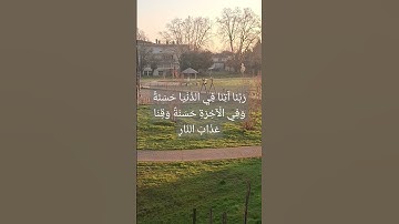 #قرآن #سورة_البقرة #surahalbaqarah #قران_كريم #سورة #tilawat #اكسبلور #المصحف