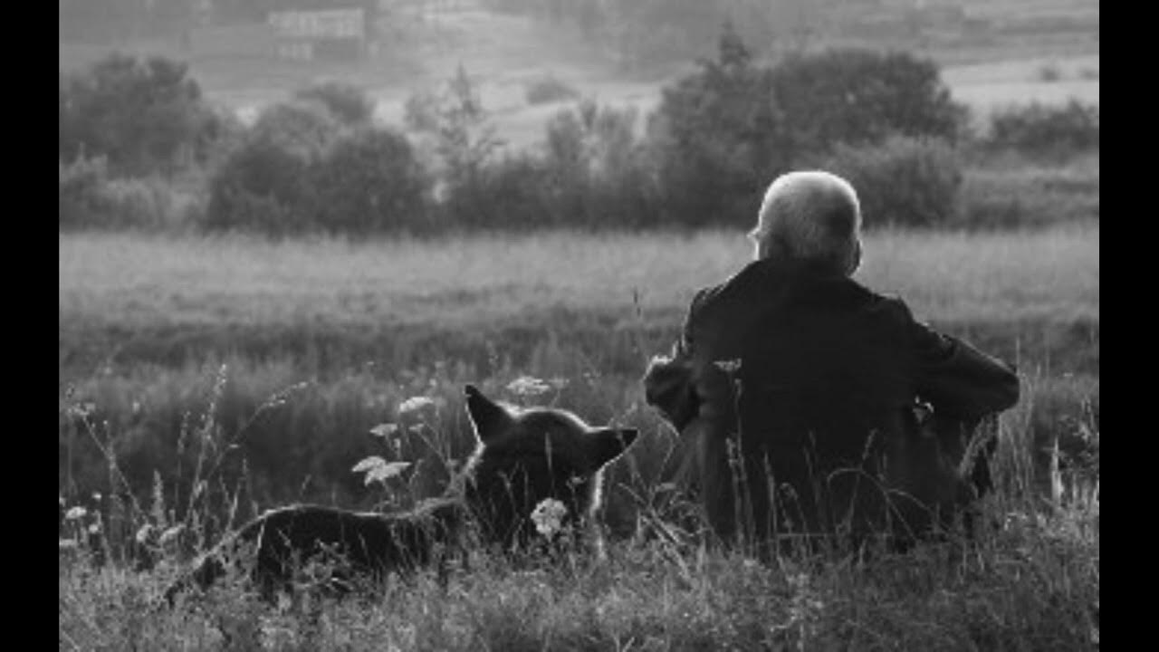 Сонник старый друг. Старые друзья. Старые друзья картинки. С др старый. Встреча старых друзей.