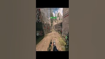 This GUN is Stupid FUN mw2 #shorts