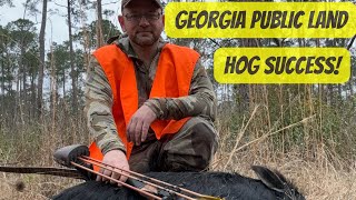 Georgia Public Land Hog Success!