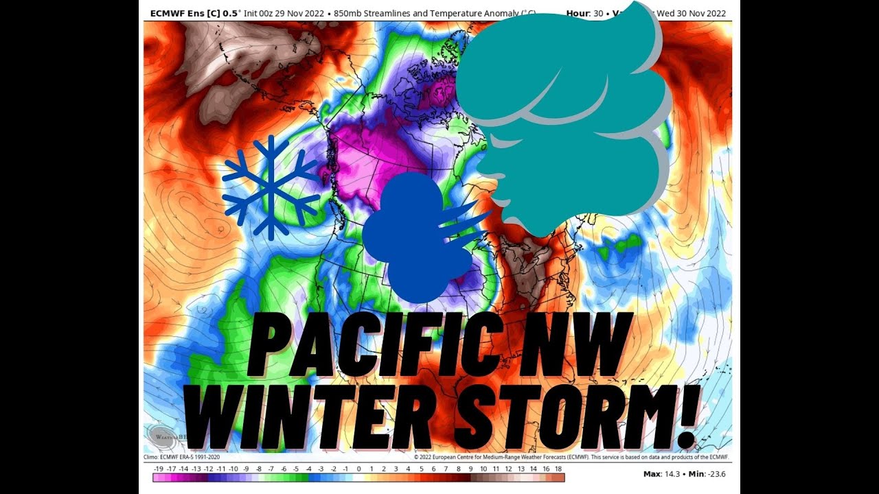 Pacific NW Storm Live Stream - YouTube