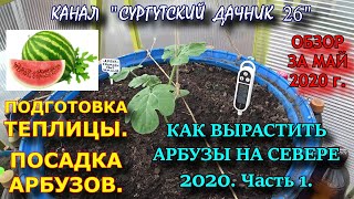 ПОДГОТОВКА ТЕПЛИЦЫ К ПОСАДКЕ АРБУЗОВ. СУРГУТ 2020.