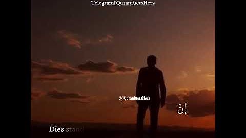 Surah Al-A'laa 14-19 | سورة الأعلى ١٩-١٤ | QuranfuersHerz