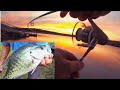 Crappie fishing in spring dont get better than this crappiefishing fishing