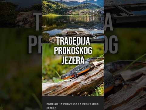 TRAGEDIJA PROKOŠKOG JEZERA