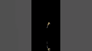 متزعفهاش منبعد نقول داوها تصميم فيديوهات شاشة سوداء اكسبلور Explore ماله حل الشعب الصيني 