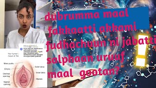 dubrummaa fuudhuun akkam salphata