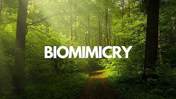 Design Thinking | Nature’s Blueprint: How Biomimicry Will Redesign the Future | Pratheek Sudhakaran