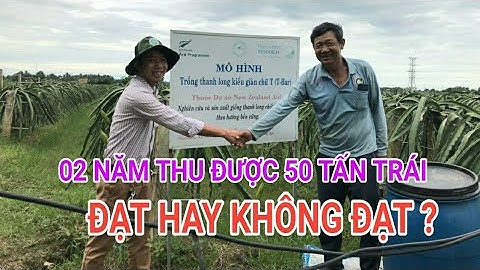 Một năm trung bình bao nhiêu thanh long năm 2024