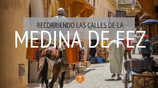 Recorriendo la MEDINA DE FEZ a fondo por sus calles