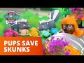 PAW Patrol Pups and the Smelly Skunks! - Toy Episode - PAW Patrol Official & Friends