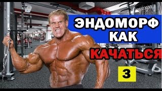 ЭНДОМОРФ как КАЧАТЬСЯ!!! ПРОГРАММА ТРЕНИРОВОК ЭНДОМОРФ как КАЧАТЬСЯ!!! ПРОГРАММА ТРЕНИРОВОК