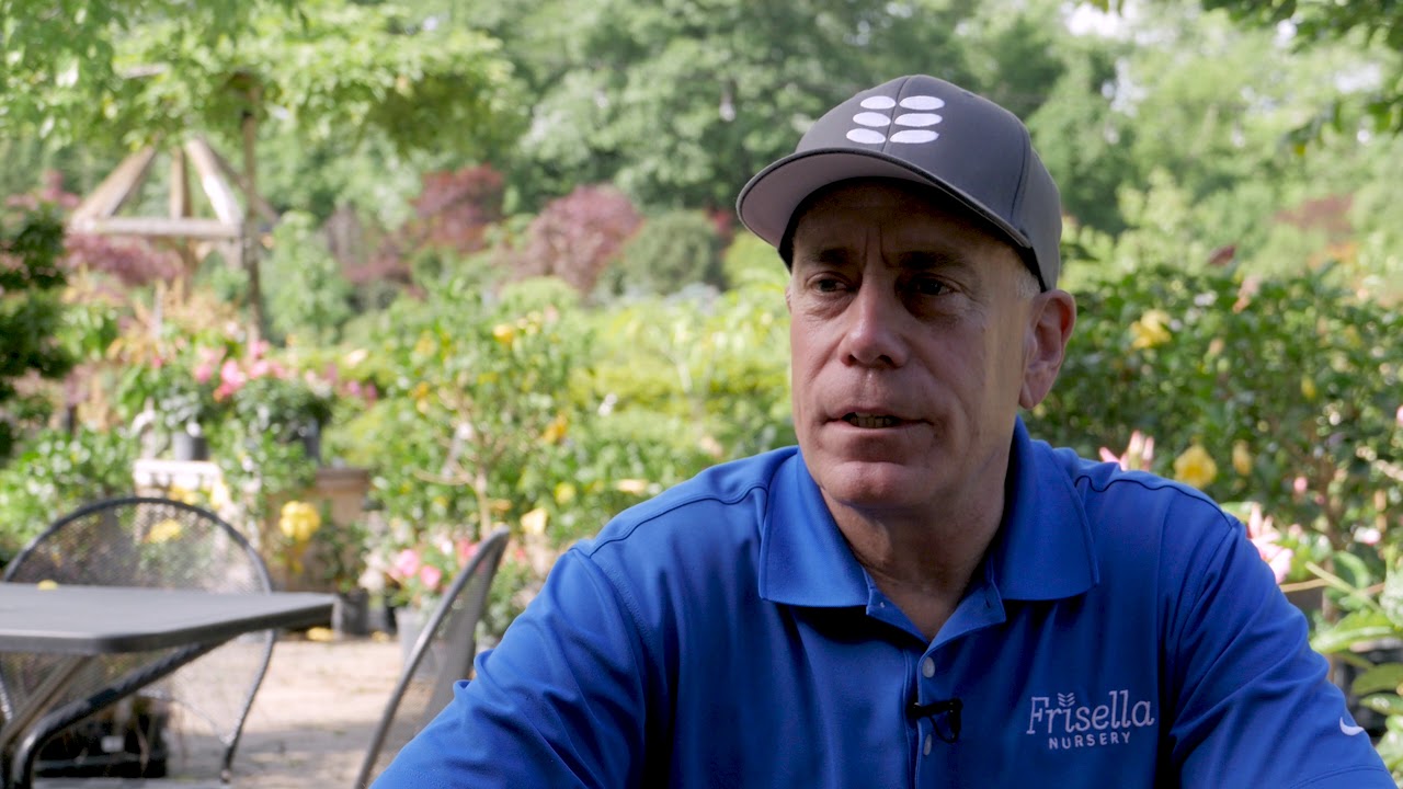 Frisella Landscaping - YouTube