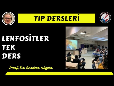 Lenfositler, Tek Ders, Prof.Dr.Serdar Akgün, Serdar Akgün Tıp Videoları