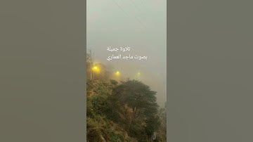 تلاوة بصوت ماجد العماري .