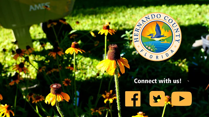 "National Public Lands Day/Native Plant Sale at Ch...