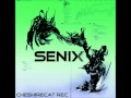 Senix  fly