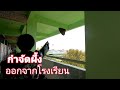 กำจัดผึ้งออกจากโรงเรียนไม่คิดว่าจะโดนแบบนี้ - ต้อม คนทำมาหากิน