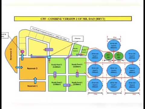 Triển vọng từ mô hình nuôi tôm CPF Combine  Nhà Nông Xanh