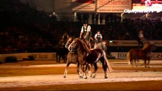 Ungarische iWEST-Post mit 24 bayerischen Kaltblütern, Großer Showabend, STUTTGART GERMAN MASTERS