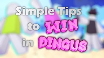 5 Simple Tips to win in in Roblox dingus!