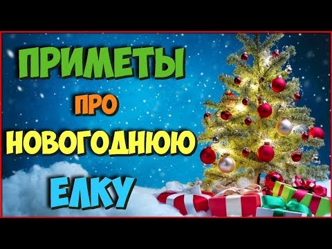 НАРОДНЫЕ ПРИМЕТЫ про НОВОГОДНЮЮ ЕЛКУ Вот почему НЕ СТОИТ приносить живую елку в ДОМ