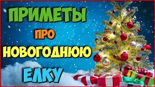 Народные Приметы Про Новогоднюю Елку Вот Почему Не Стоит Приносить Живую Елку В Дом