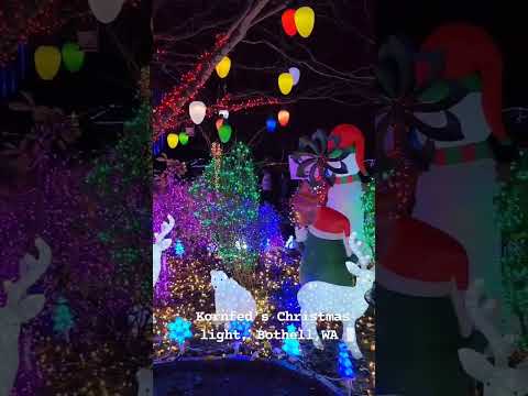 Beautiful Kornfed's Christmas lights #travel #vlog #washington #bothell #seattle #christmas #usa