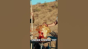 Physics of Empire: Longbows vs Composite Bows