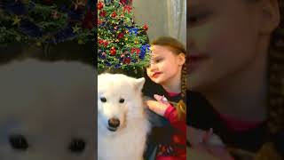 ЧЕЛЛЕНДЖ на новогодний календарь с собачками АВРОРОЙ и ХАНОМ