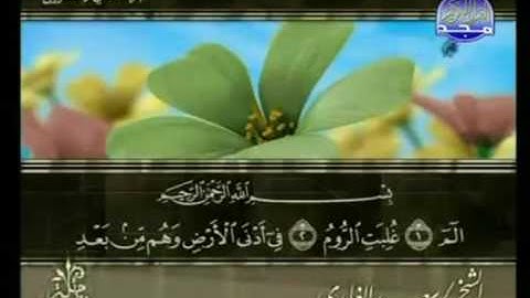 الختمة المرتلة للشيخ سعد الغامدي - الجزء الحادي والعشرون ( 21 ) - قناة المجد للقرآن الكريم