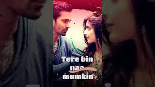 Sanam teri kasam full screen whatsapp ...