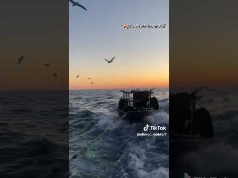 اي الجديد وسط البشر