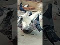 video banane kaun se pass ▶️🎥#youtubeshorts  #shorts#trend#kabootar #akjhansipigeons#pigeon #akash