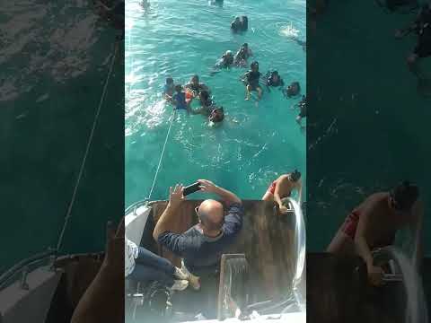 انا البطل ال نفسك تقلطو