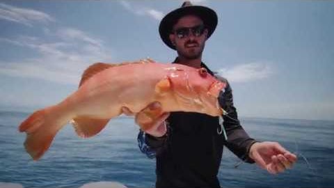 NOMAD DESIGN FISH SKOOL- Slow Pitch Jigging - Finding Fish and Structure