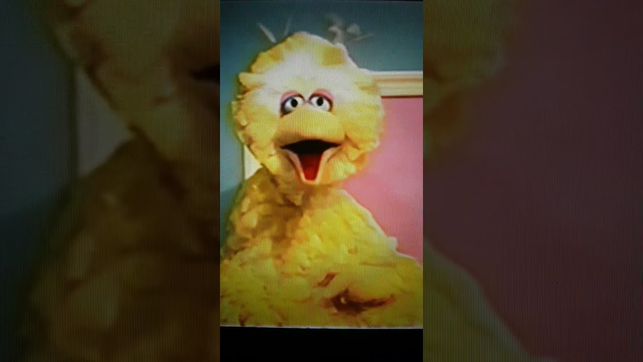 Big Bird Busts Down The Door Vine (Reupload) (Read Desc) YouTube