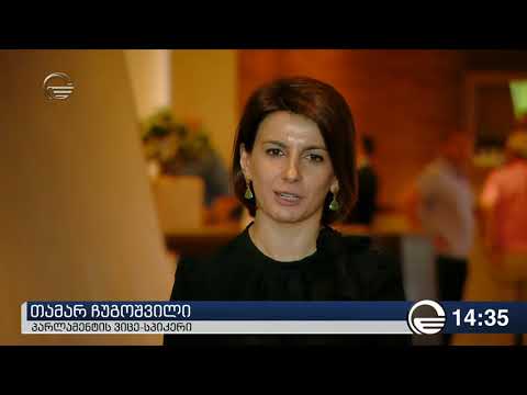 შეხვედრა NDI-ის წარმომადგენლებთან