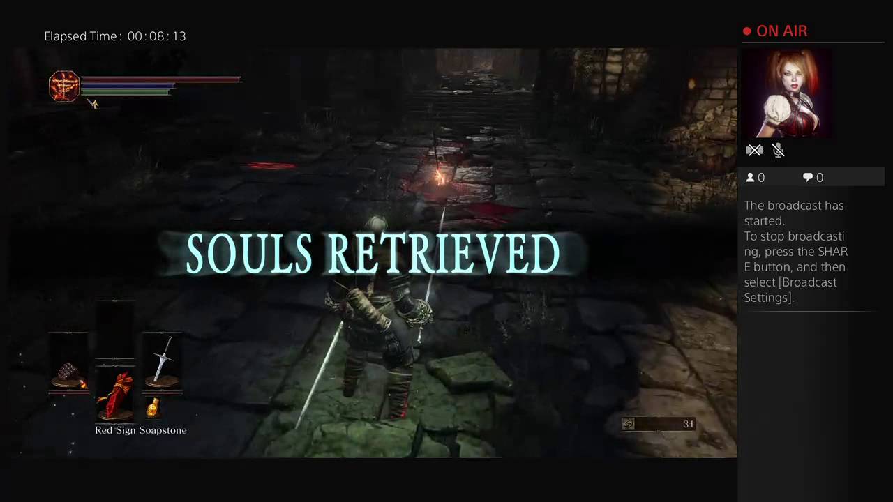 The adventures of a Havelyn Pie