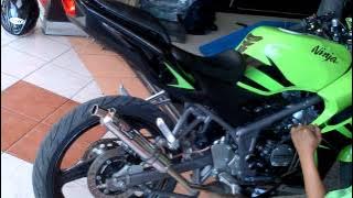 ninja 150 rr new R9 monza